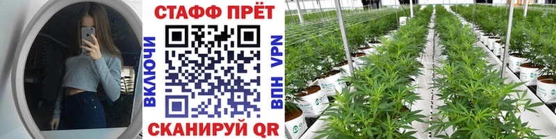Где купить наркотики Лобня ЭКСТАЗИ Канабис Мефедрон OMG ссылка ГАШИШ