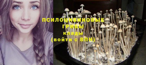 мескалин Верхний Тагил