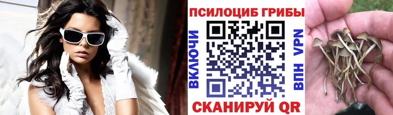 Галлюциногенные грибы GOLDEN TEACHER MEGA маркетплейс Лобня